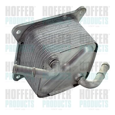 Oil Cooler, engine oil HOFFER 8095237