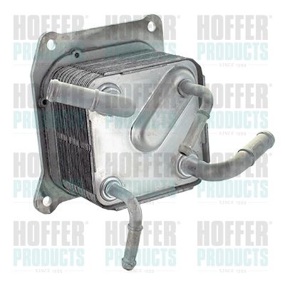 Oil Cooler, engine oil HOFFER 8095259