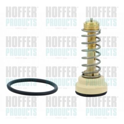 Thermostat, coolant HOFFER 8192647