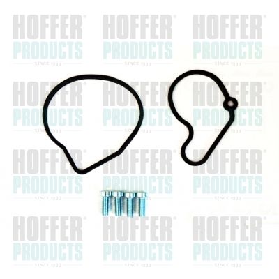 Repair Set, vacuum pump (braking system) HOFFER 91114