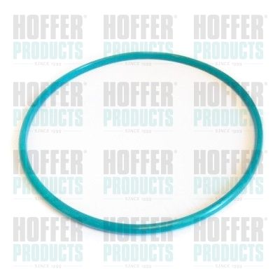 Seal, fuel tank cap HOFFER GSK01