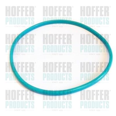 Seal, fuel tank cap HOFFER GSK03