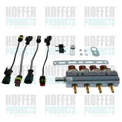 Injector HOFFER H13066