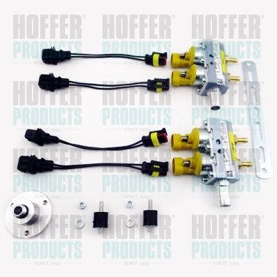 HOFFER H13077 Injector