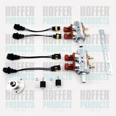 HOFFER H13079 Injector