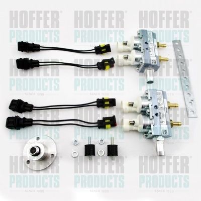 HOFFER H13081 Injector