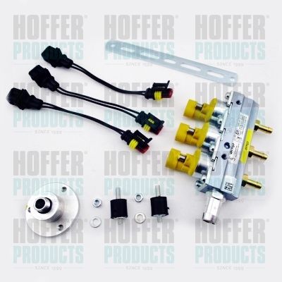 HOFFER H13082 Injector