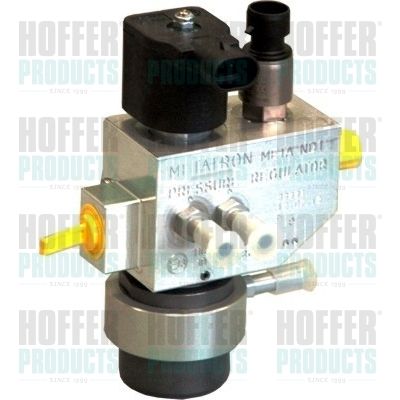 Valve, injection system HOFFER H13100