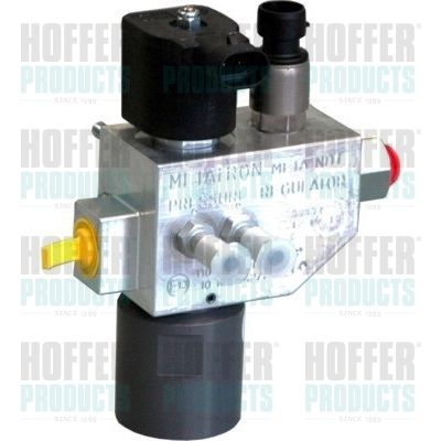 Valve, injection system HOFFER H13102