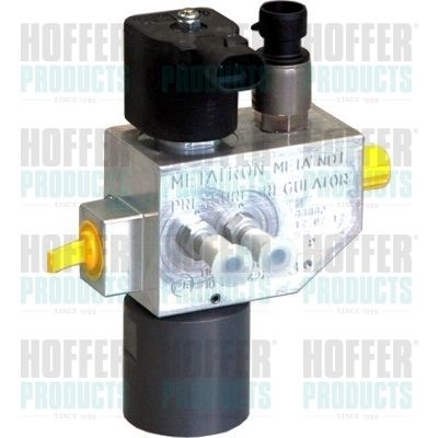 Valve, injection system HOFFER H13103