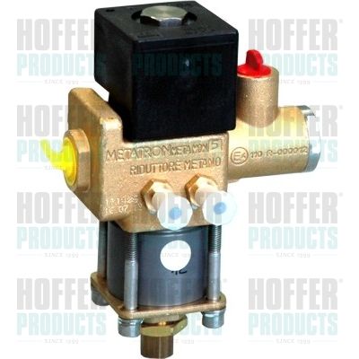 Valve, injection system HOFFER H13104