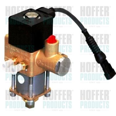 Valve, injection system HOFFER H13105