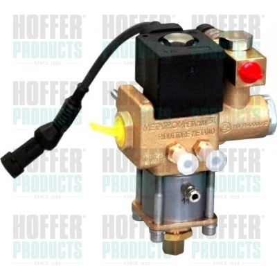 HOFFER H13107 Valve, injection system