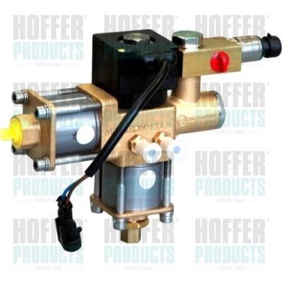Valve, injection system HOFFER H13108