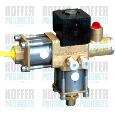 HOFFER H13109 Valve, injection system