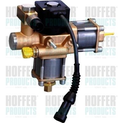 Valve, injection system HOFFER H13111