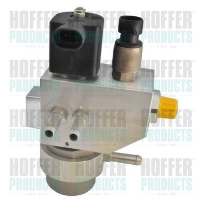 Valve, injection system HOFFER H13118