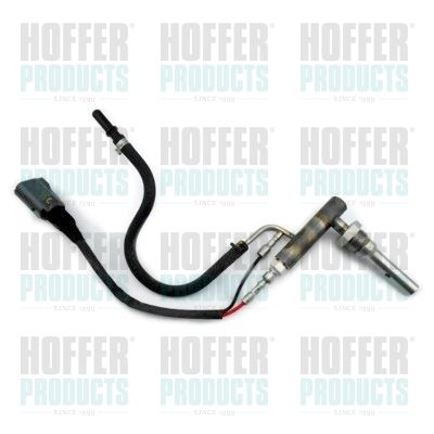 HOFFER H1951 Injection Unit, soot/particulate filter regeneration