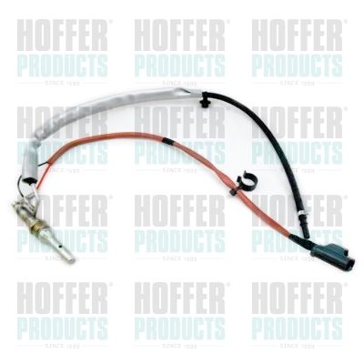 HOFFER H1953 Injection Unit, soot/particulate filter regeneration