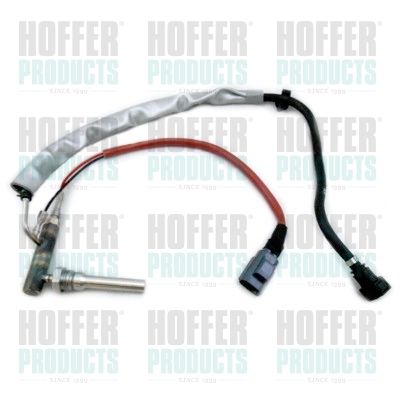 Injection Unit, soot/particulate filter regeneration HOFFER H1954