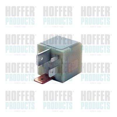 HOFFER H7285679 Control Unit, glow time