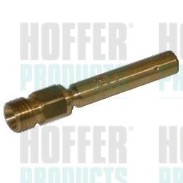 Injector HOFFER H75111047