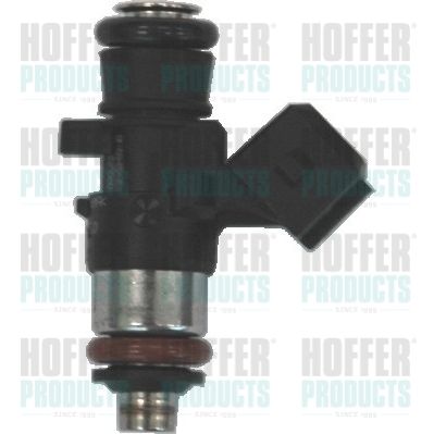 Injector HOFFER H75114046