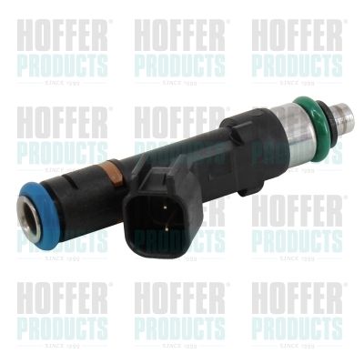 Injector HOFFER H75117154