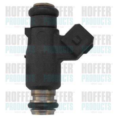Injector HOFFER H75117806