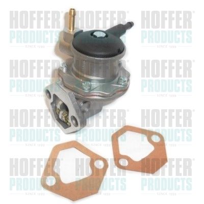 Fuel Pump HOFFER HPOC062