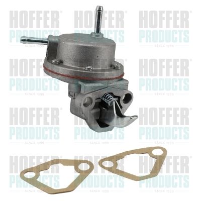 Fuel Pump HOFFER HPOC100