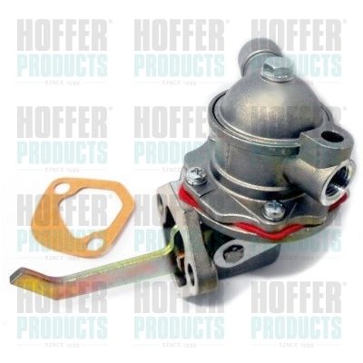 Fuel Pump HOFFER HPON123