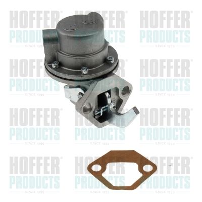 Fuel Pump HOFFER HPON163