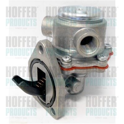 Fuel Pump HOFFER HPON179