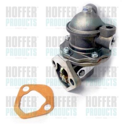 Fuel Pump HOFFER HPON184