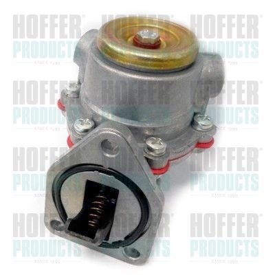 Fuel Pump HOFFER HPON187