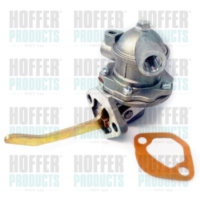 Fuel Pump HOFFER HPON193