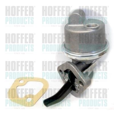 Fuel Pump HOFFER HPON197