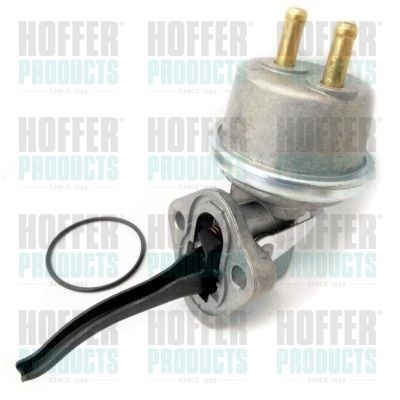 Fuel Pump HOFFER HPON220