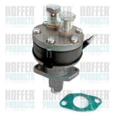 Fuel Pump HOFFER HPON234
