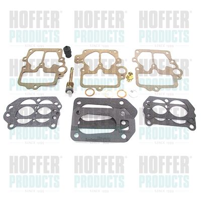 Repair Kit, carburettor HOFFER N313