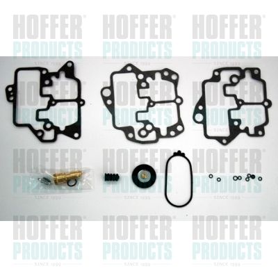 HOFFER N751 Repair Kit, carburettor