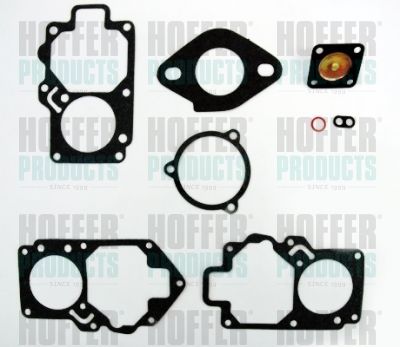 HOFFER S31G Repair Kit, carburettor
