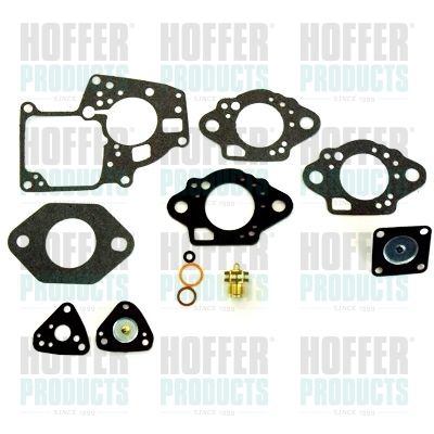 HOFFER S49F Repair Kit, carburettor