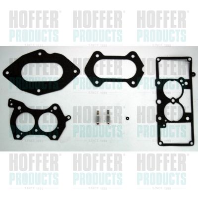 Repair Kit, carburettor HOFFER S52G