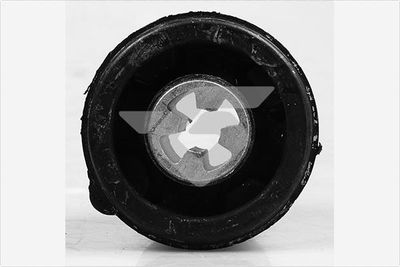 Bushing, axle beam HUTCHINSON 590182