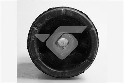 Bushing, axle beam HUTCHINSON 590245