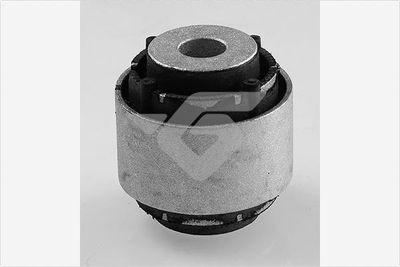 Mounting, control/trailing arm HUTCHINSON 590306