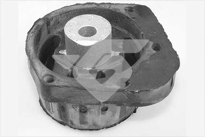 Mounting, manual transmission HUTCHINSON 594520