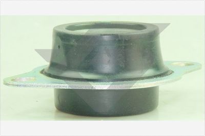 Mounting, manual transmission HUTCHINSON 594641